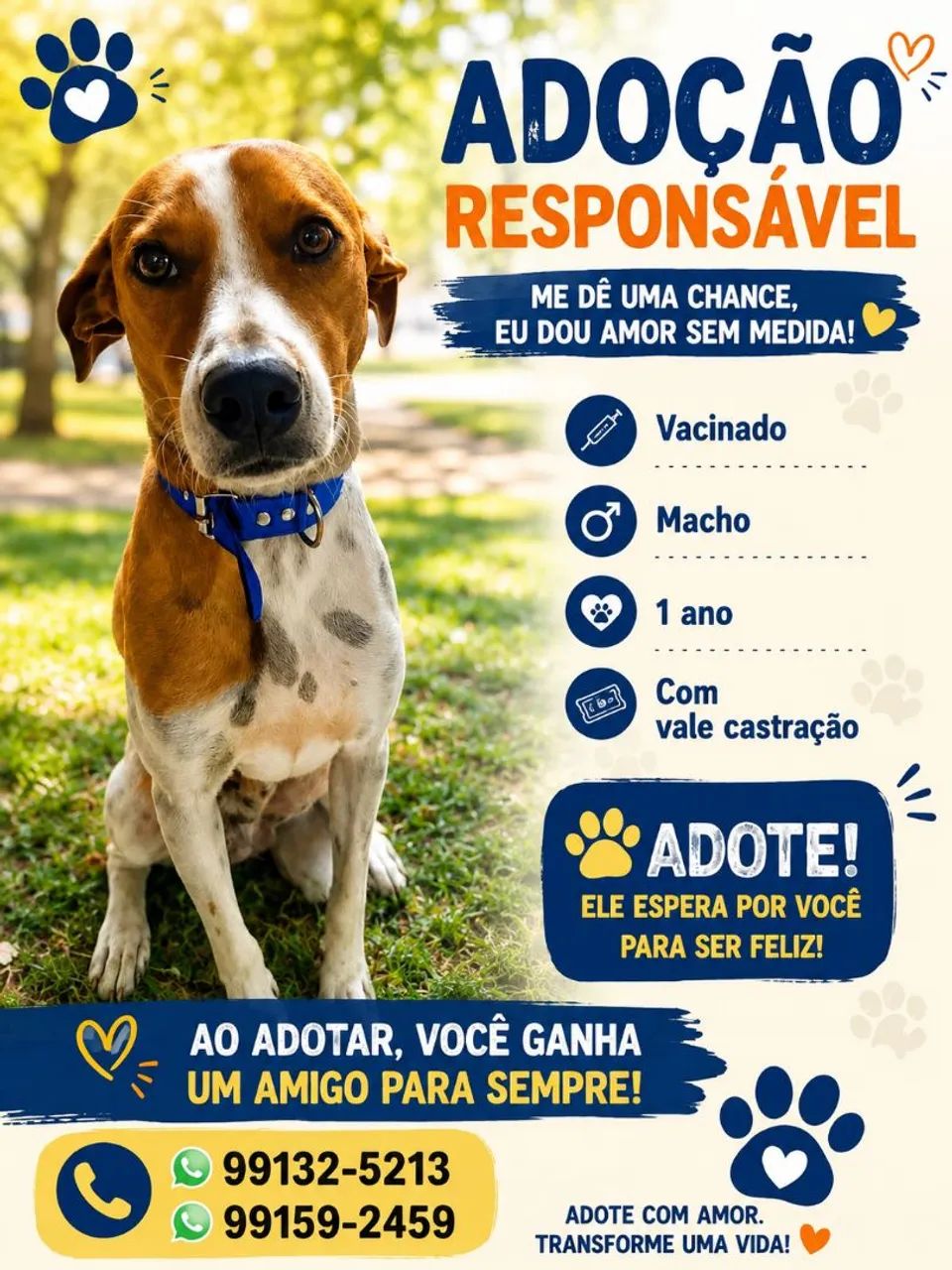 Adoção responsável 