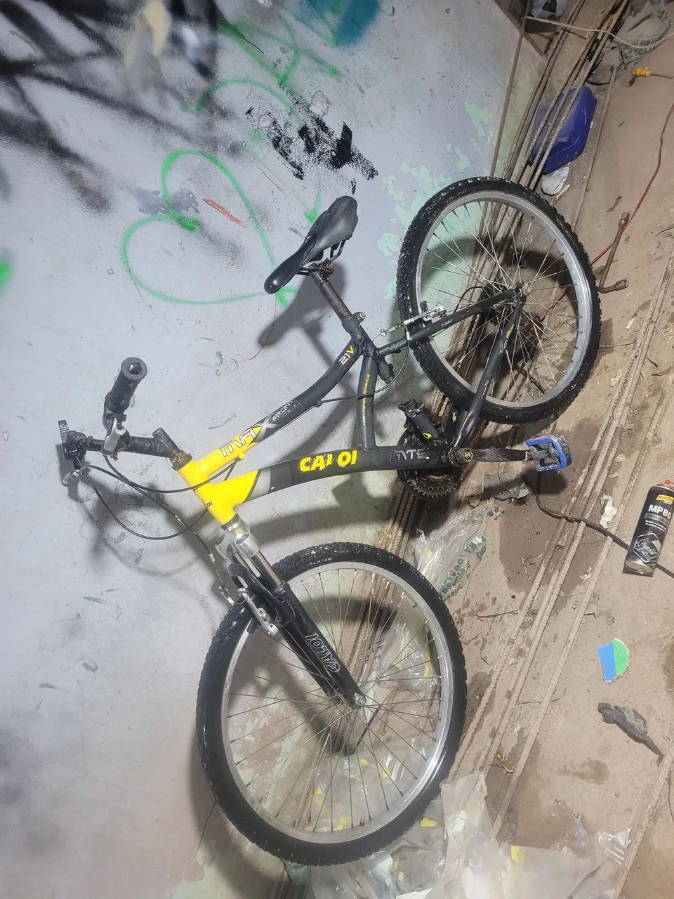 blicicleta  - Foto 2