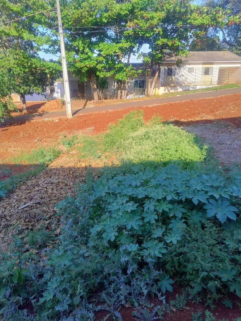 Terreno em otima localização e otimo de preço  - Foto 3
