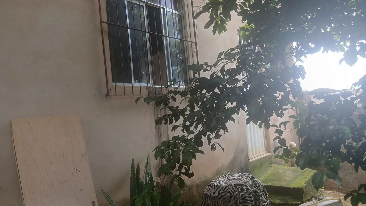 Lote grande  com plantas  1 cômodo lateral - Foto 3