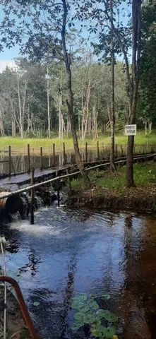 Um verdadeiro Paraíso! - Foto 11