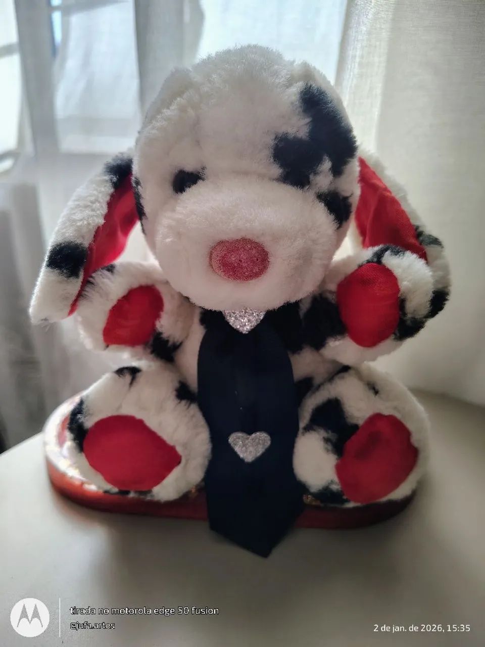 Gravata Pet  - Foto 4