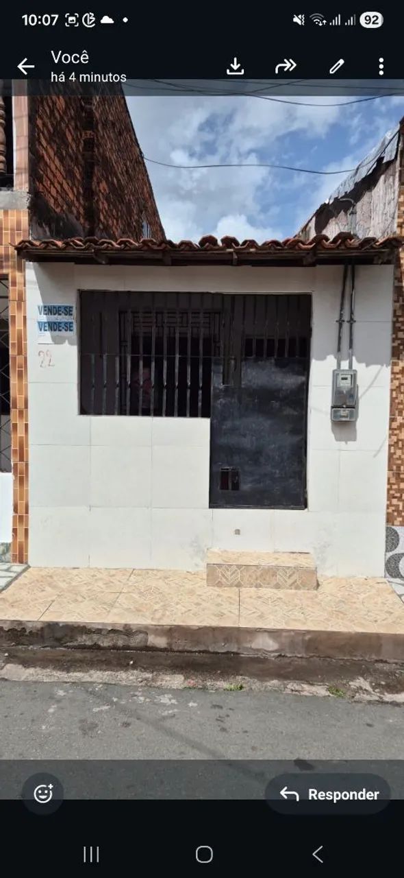 Foto - São Luís - Macaúba