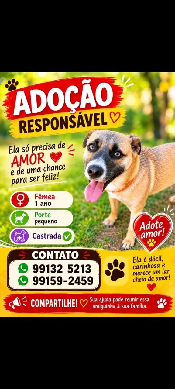 Adoção responsável 