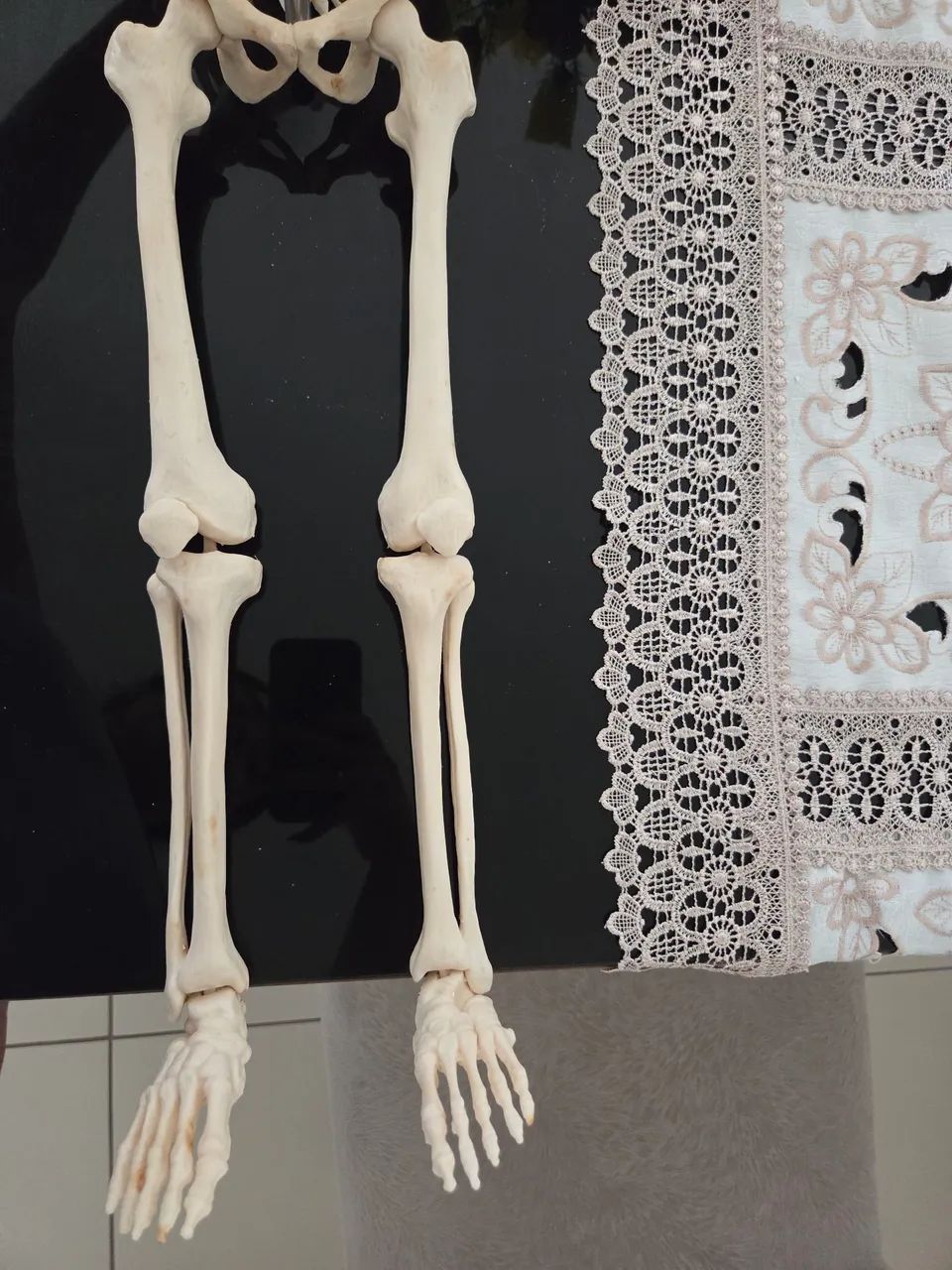 Esqueleto Humano, modelo anatômico tridimensional com 85cm. - Foto 5