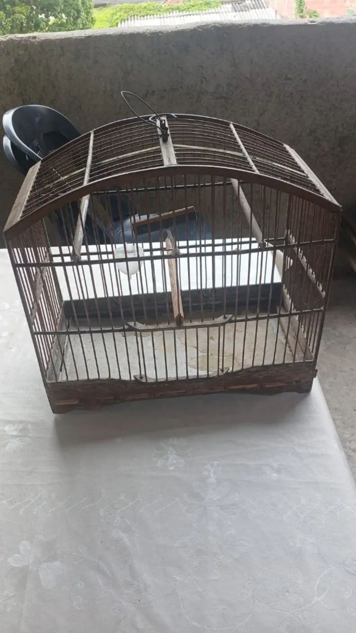 Gaiola  - Foto 2