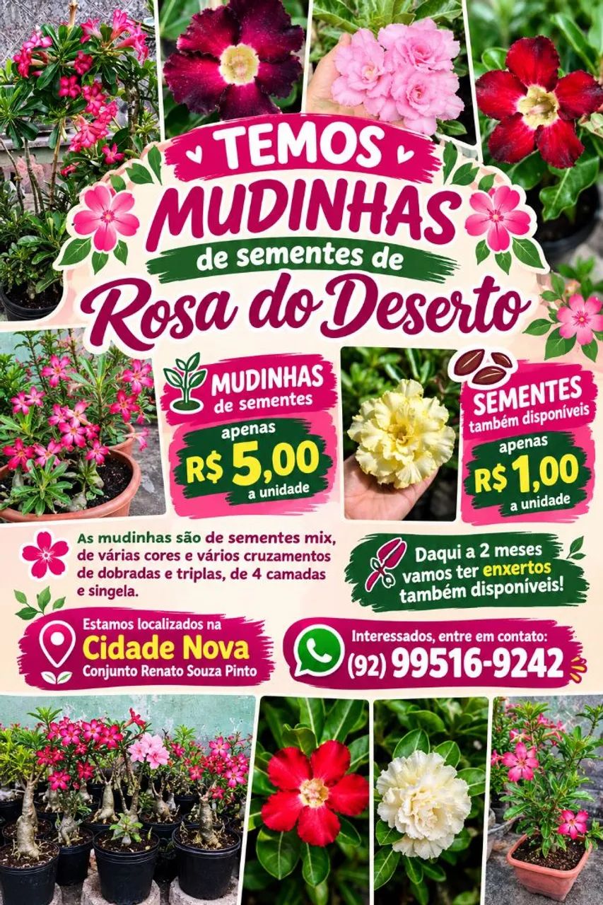 Flores