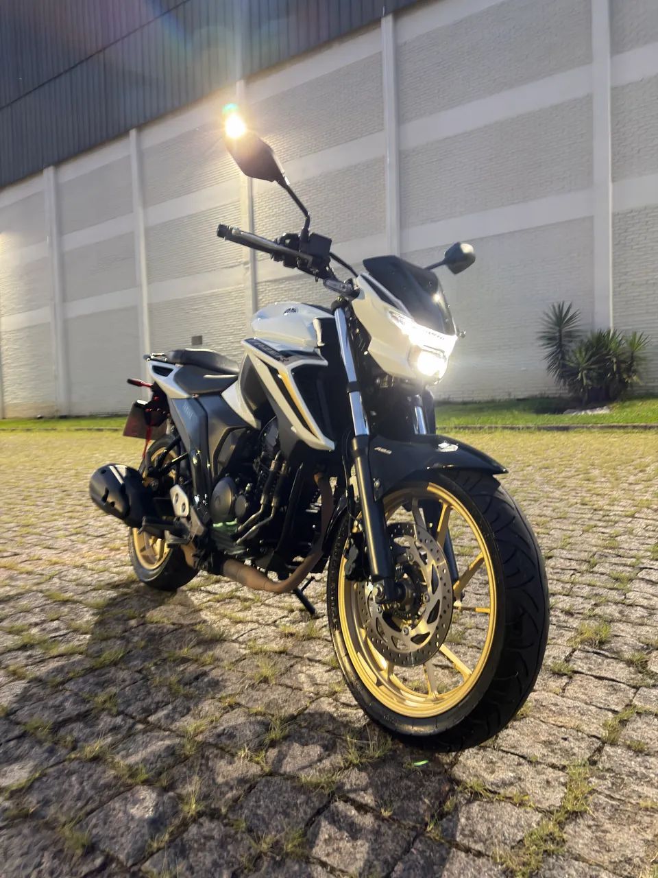 Fz-25 