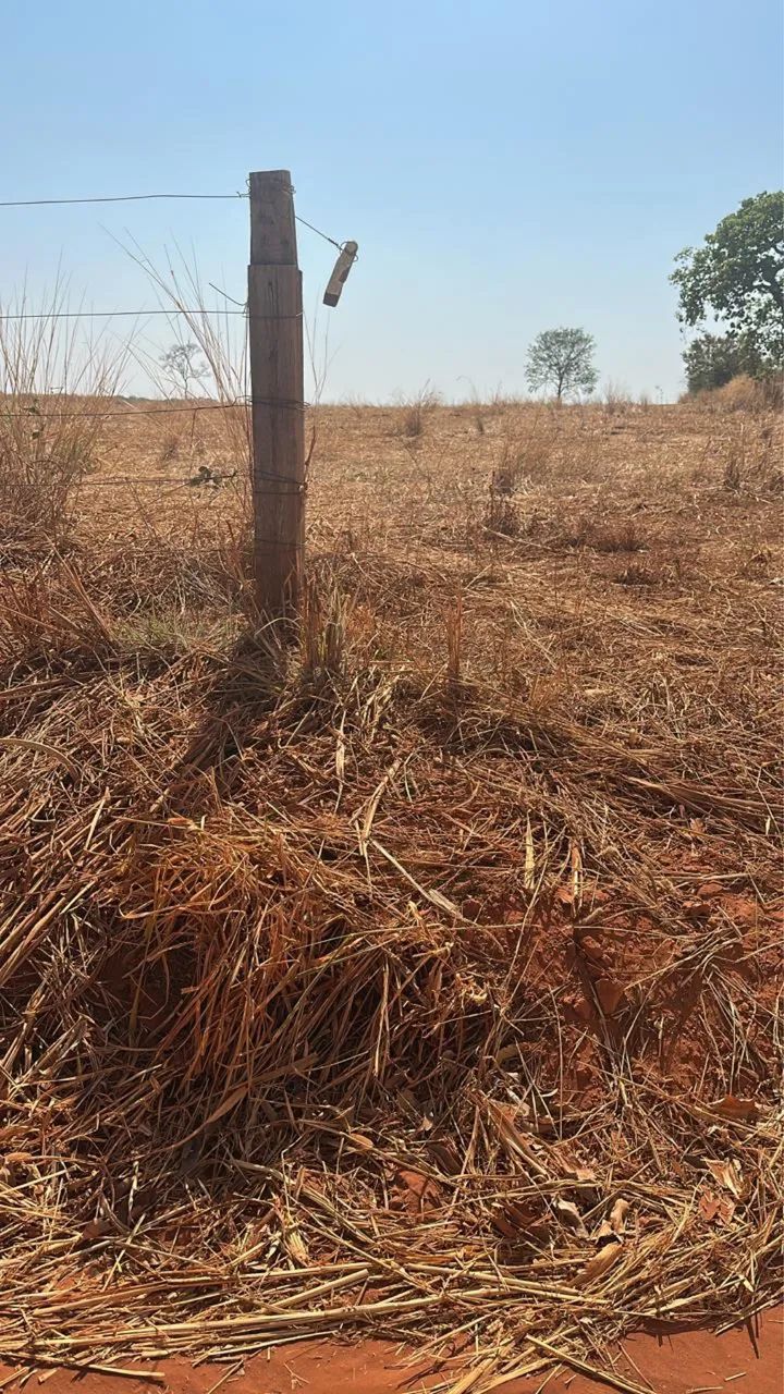 chácara/fazenda Bela Vista Goias - Foto 3
