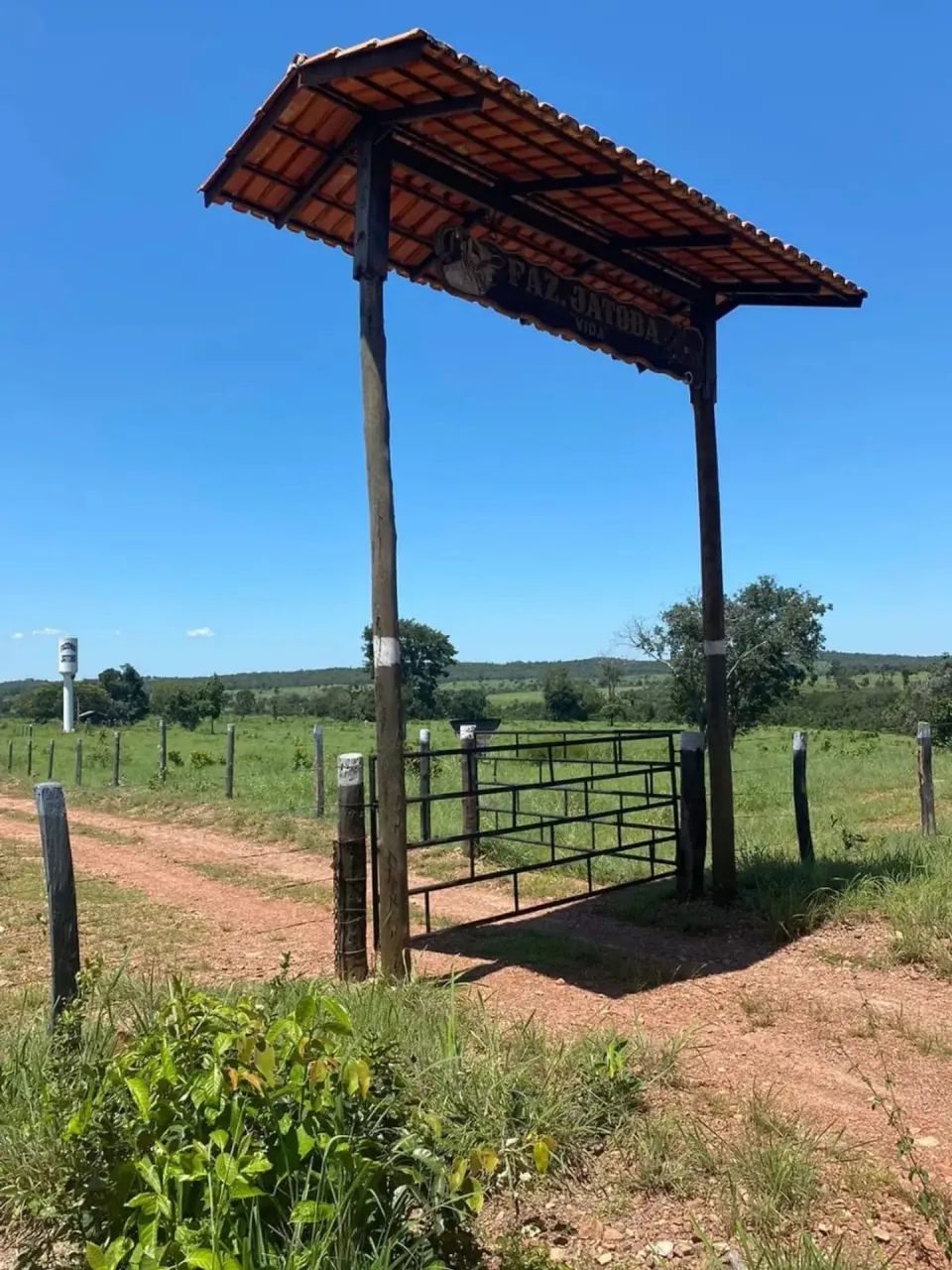 Fazenda a venda em Crixas / Goiás - Foto 5