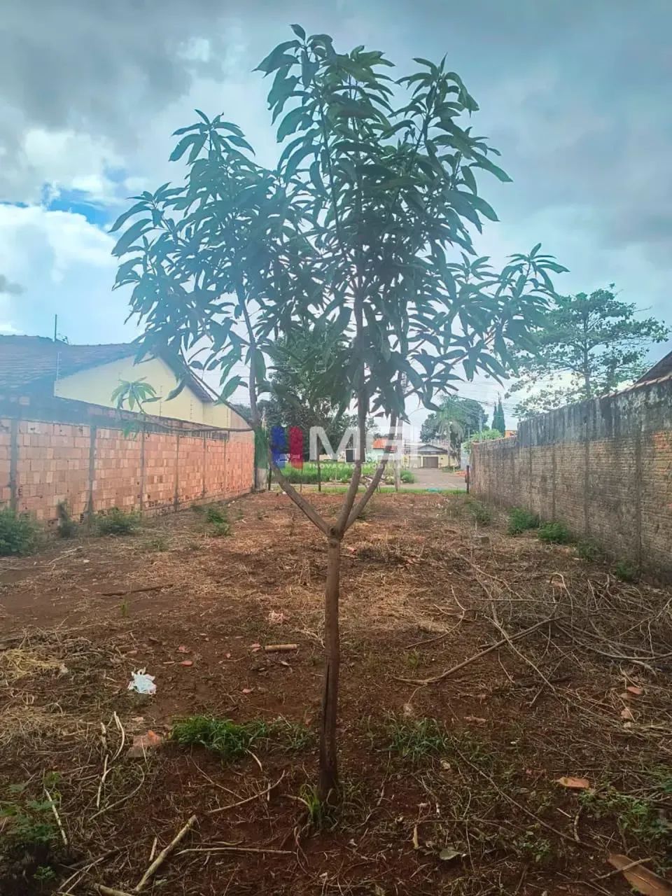 Lote no Veredas Dos Buritis Com 300 M² - Foto 3