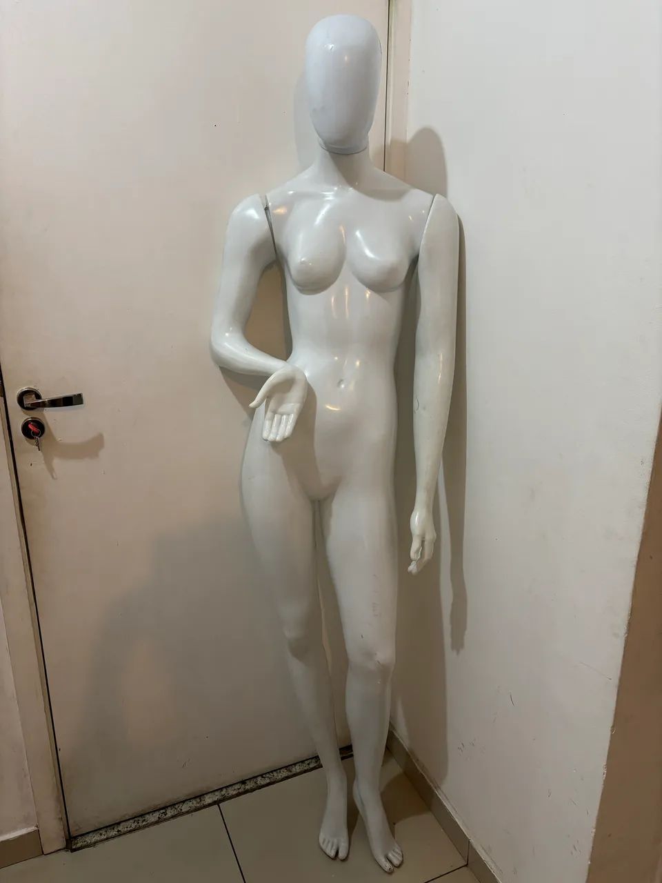 Manequim corpo todo 