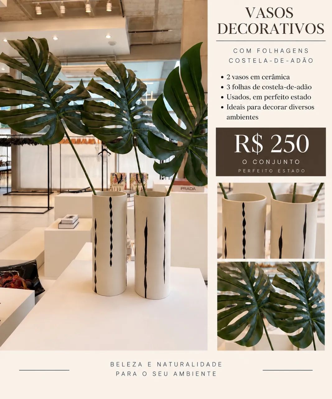 Vasos 