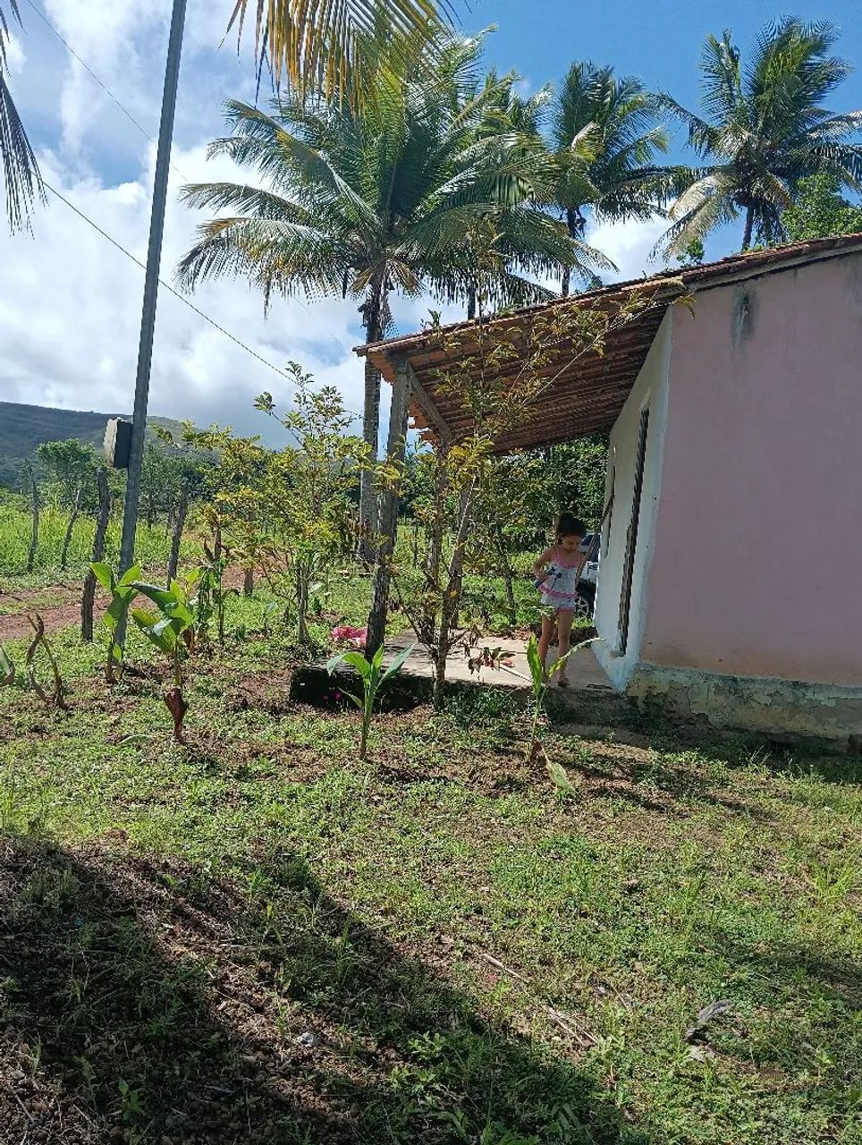 Sítio  - Foto 5