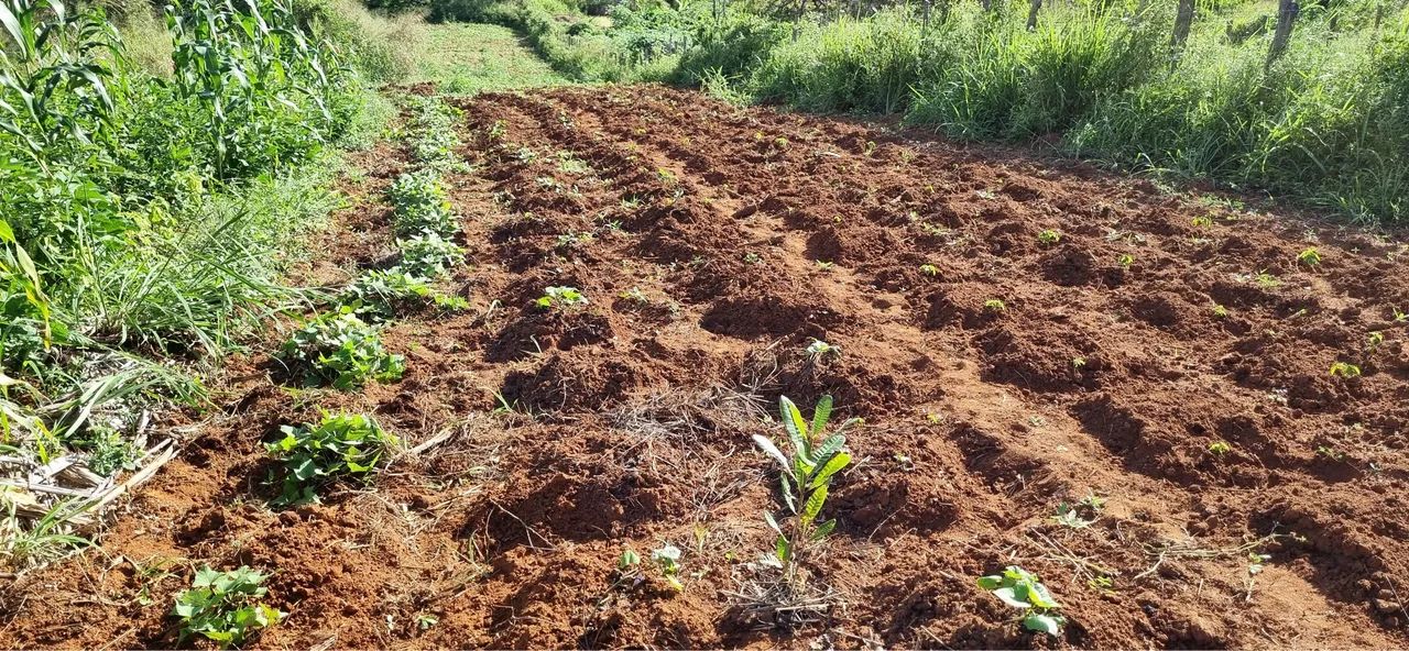 Terreno em Feira Nova-PE com 16 X 180m - Foto 3