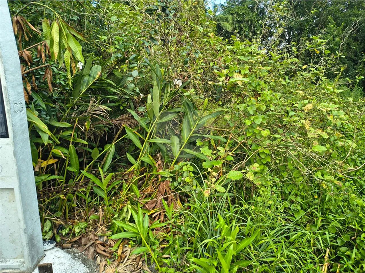 Terreno à venda em Costa do sol - SP - Foto 2