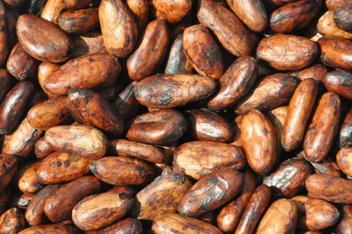 Cacau Amendoa