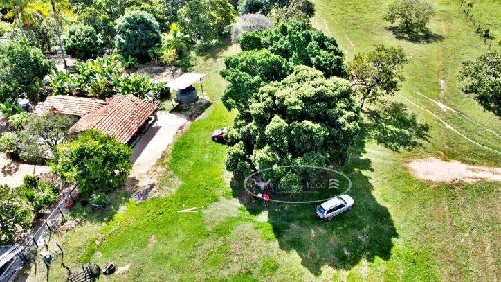 Fazenda de Oportunidade em Ponte Alta - TO | 100 Alqueires