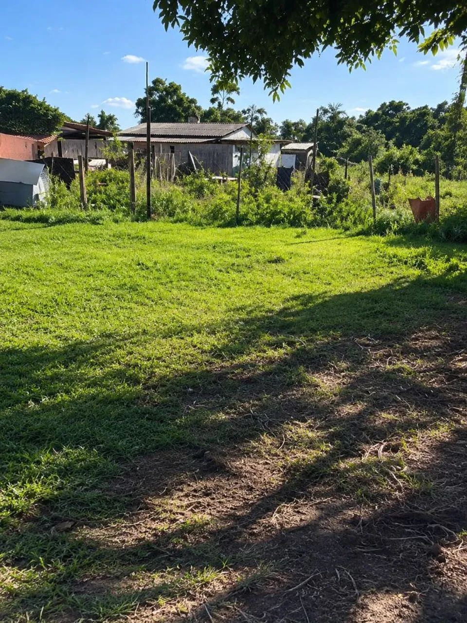 Terreno  - Foto 3