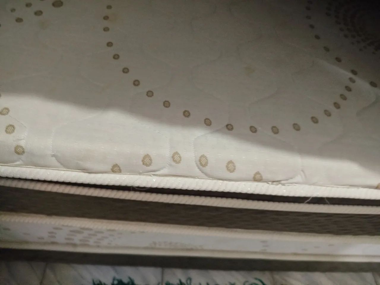 Cama ox - Foto 2