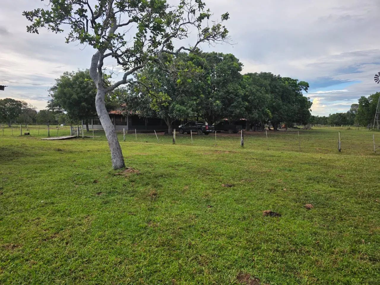área em Pirenópolis - Foto 2