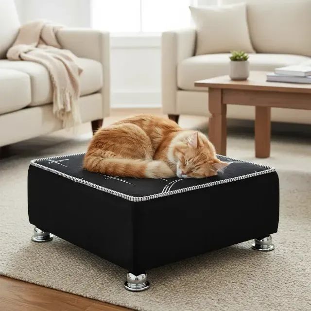 cama box para pets - Foto 4