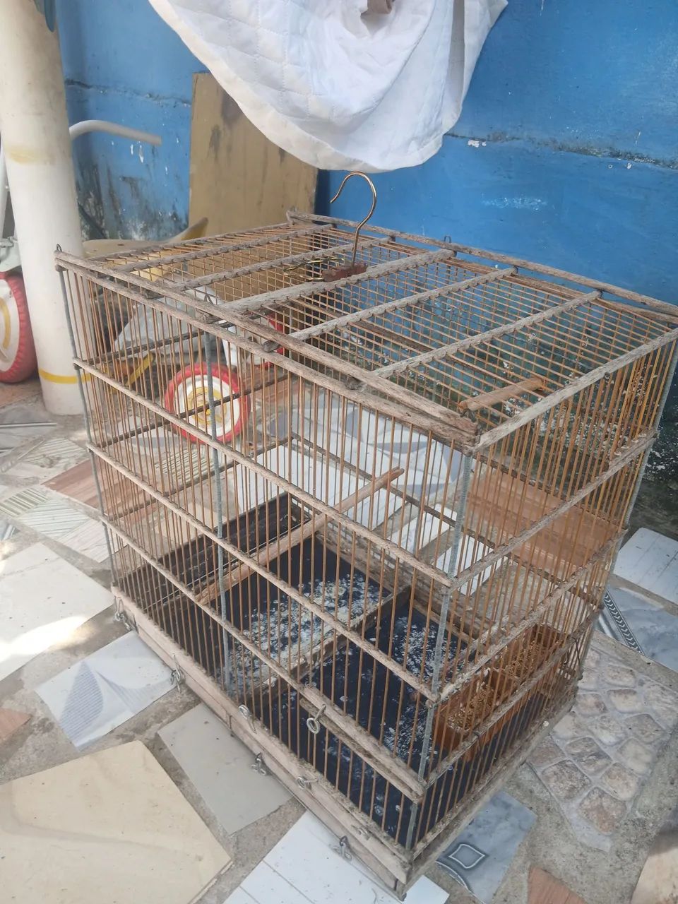 Vendo do caiola para passaro