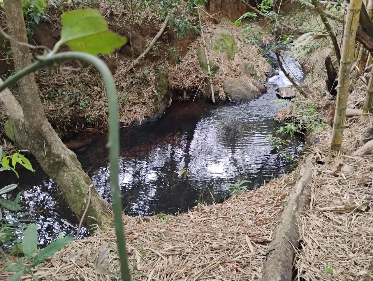 Terreno 20 km de BH, muita água. - Foto 5