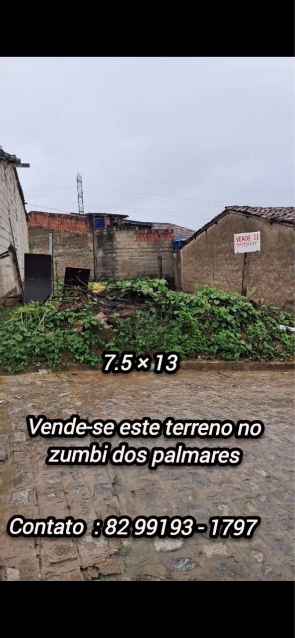 Vender terreno em união dos Palmares  - Foto 2