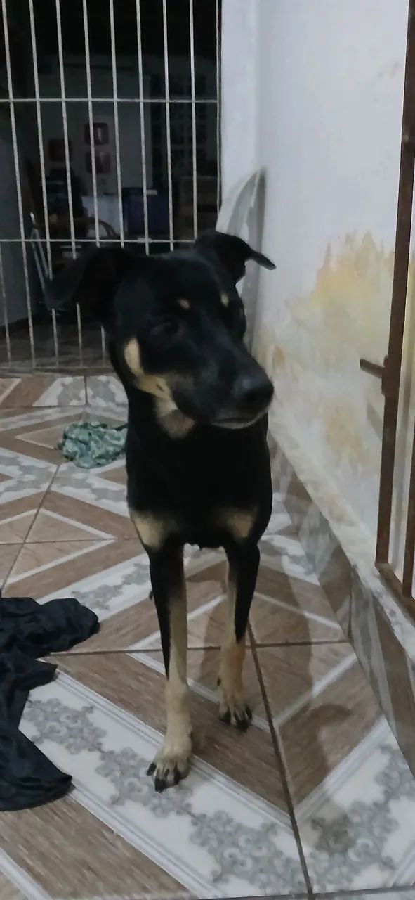 Doação responsável 