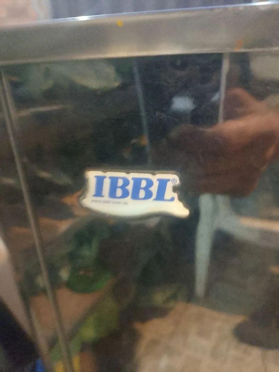 Bebedor de água ibbl
