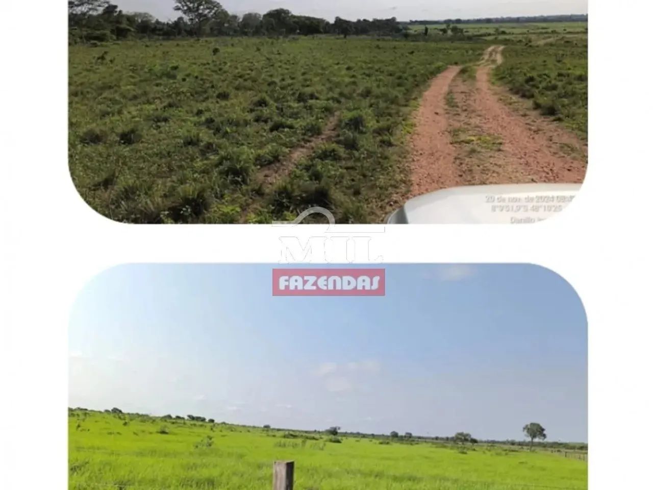 Fazenda 465 alqueires (2,252 hectares) Colinas - TO - Foto 5