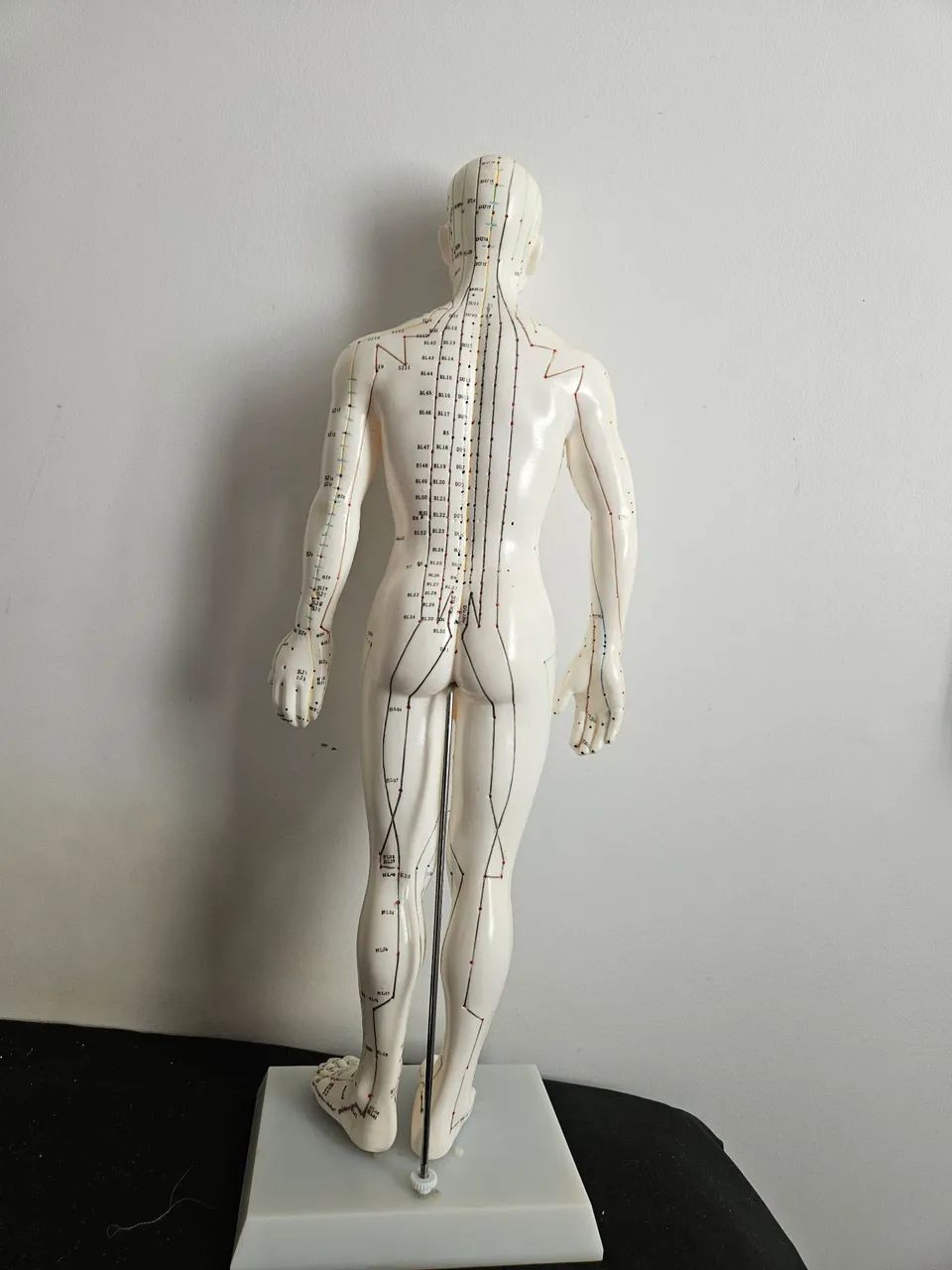 Modelo Anatómico Humanóide de Acupuntura - Ideal para Estudos e Consultórios - Foto 2