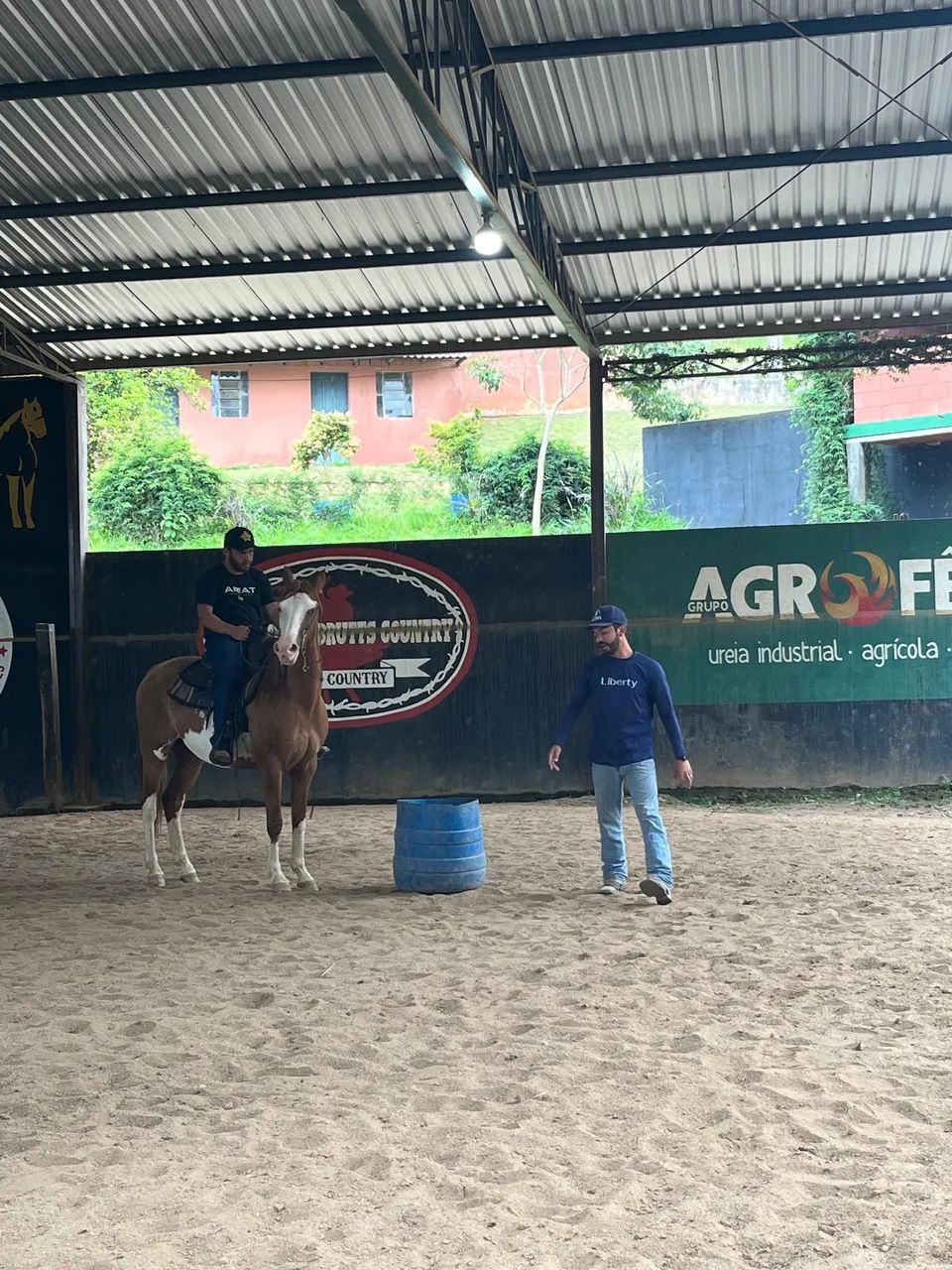 Cavalo Paint Horse - Foto 5
