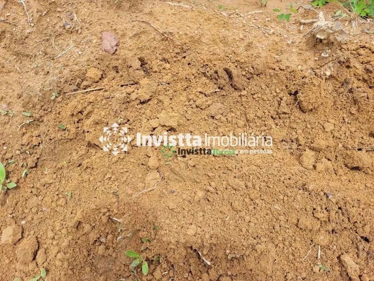Fazenda de 532 alqueires com dupla aptidão na região de Pedro Afonso - Foto 3