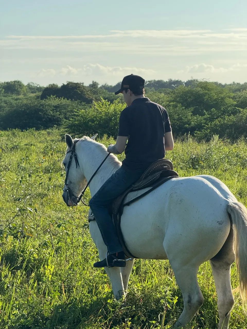 Cavalo de vaquejada de esquerda  - Foto 2