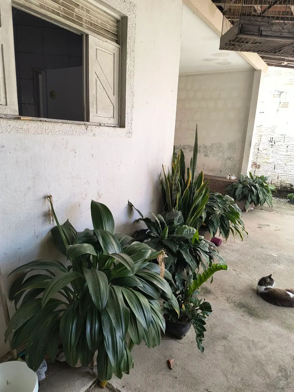 Foto - Parnamirim - Cajupiranga
