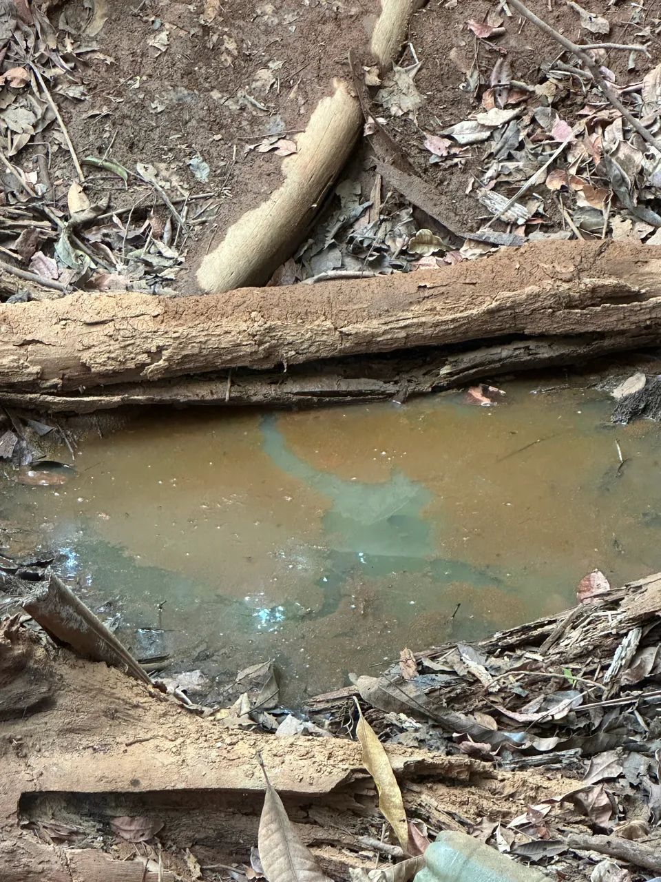 VENDO CHÁCARA 8 HECTARES SETOR SANTA FÉ ÓTIMO PREÇO  - Foto 2
