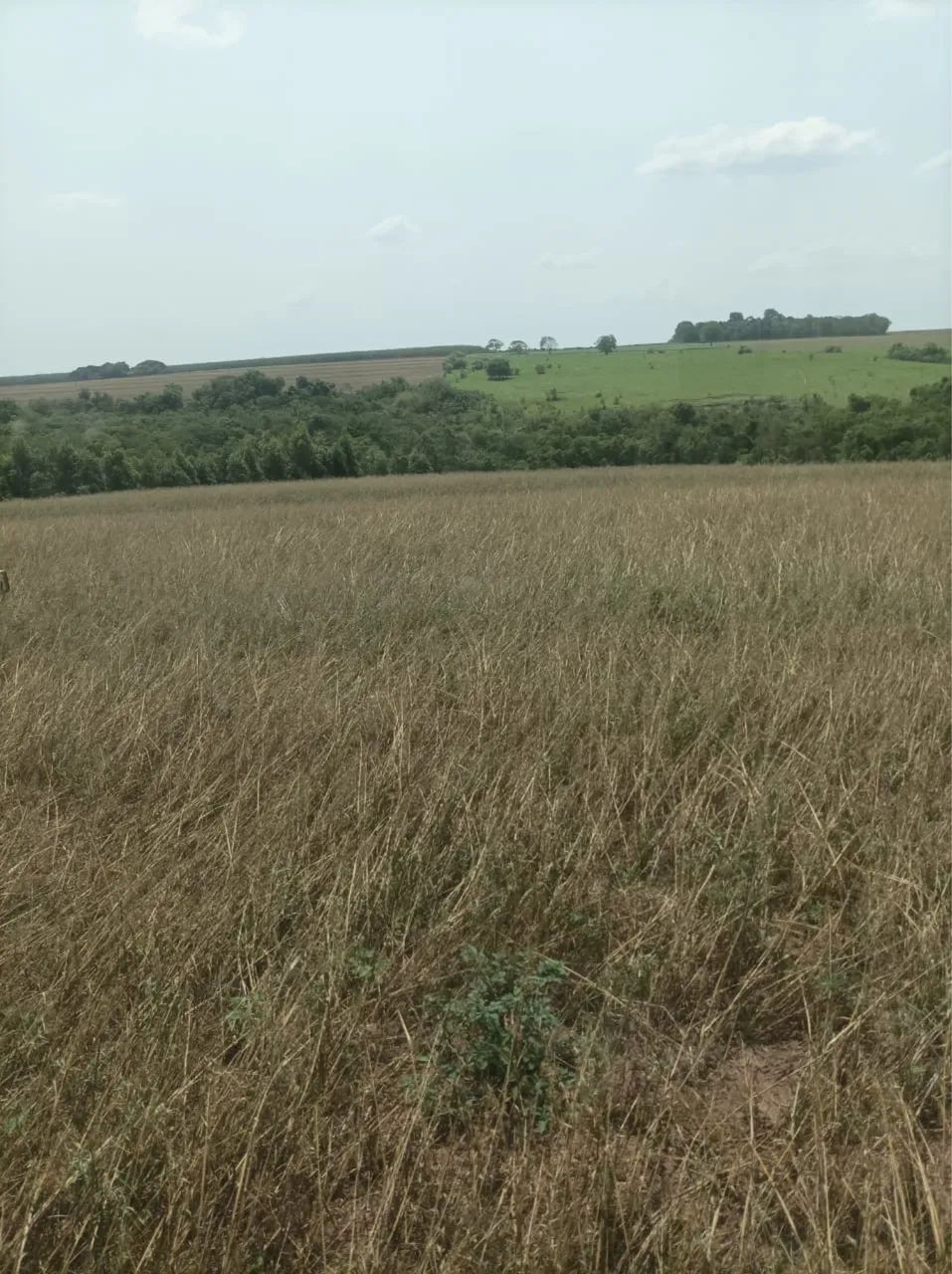 Sítio a venda em Campo Mourão Pr.