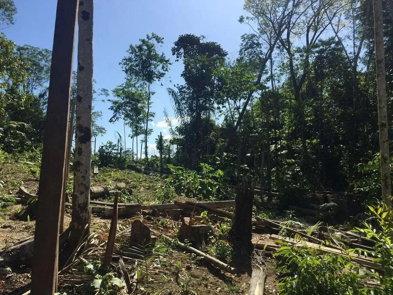 ...Vendo lote na estrada do cetur . - Foto 4