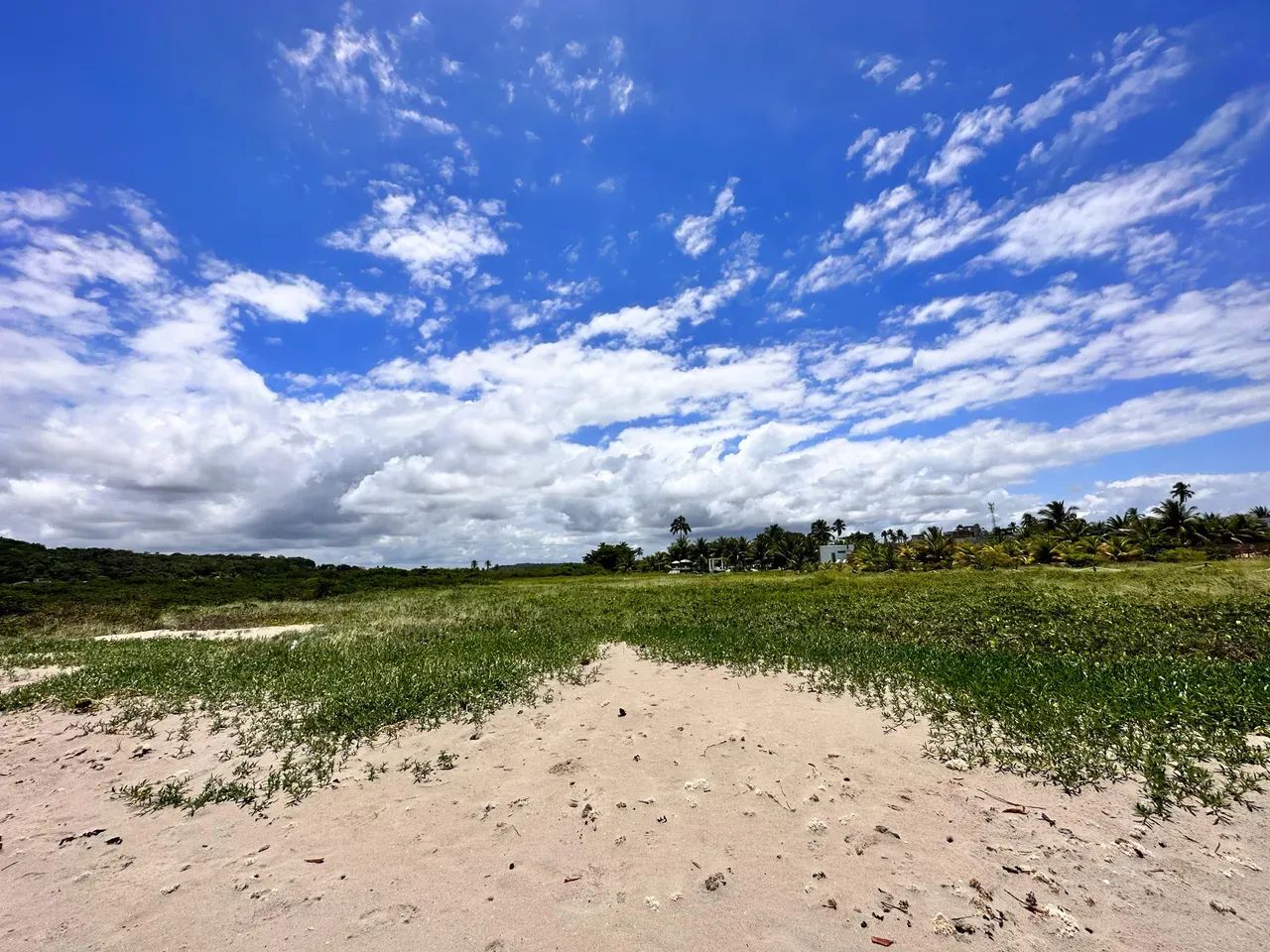 Japaratinga. Área com 8 hectares (80mil metros quadrados), Litoral Nortee - Foto 2