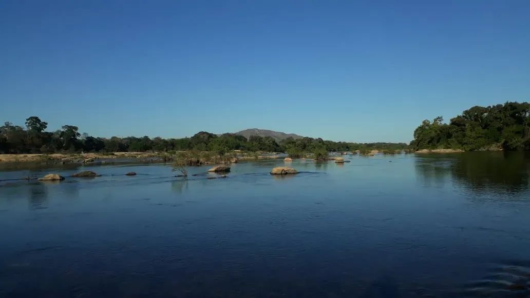Fazenda Paraná TO