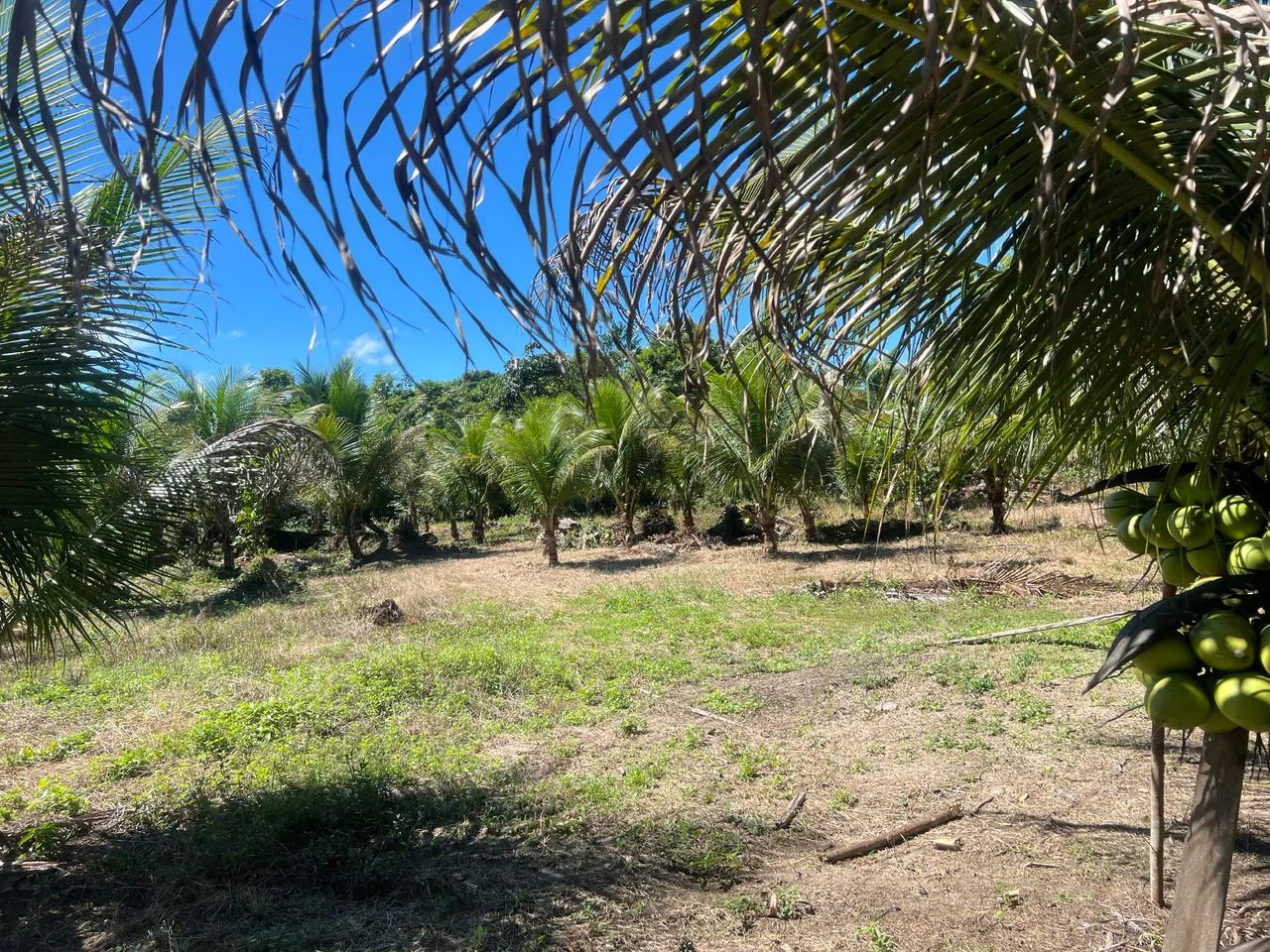 VENDO TERRENO NA ALÇA VIÁRIA KM 32  - Foto 4