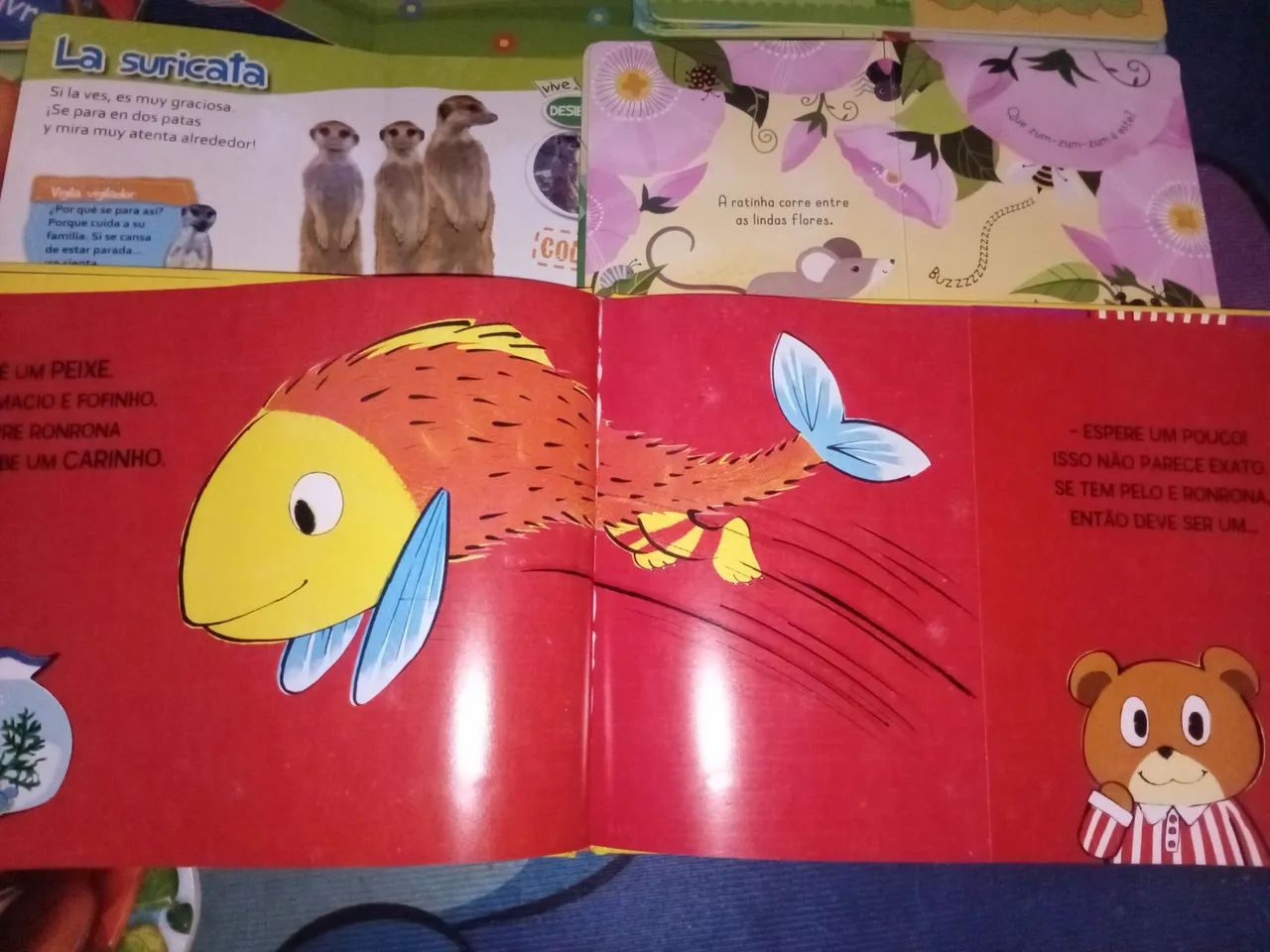 Libros infantil preescolar 5x1 - Foto 3