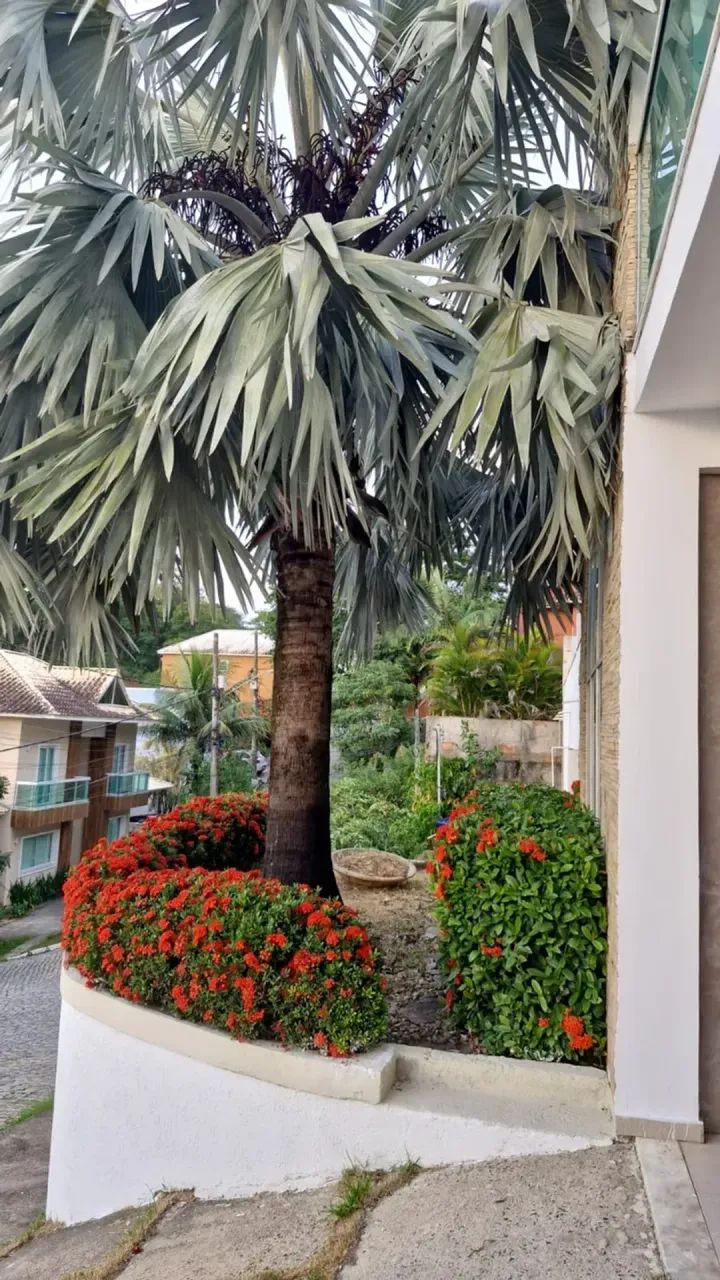 CASA IMPONENTE À VENDA  CONFORTO, SOFISTICAÇÃO E LAZER COMPLETO! - Foto 2