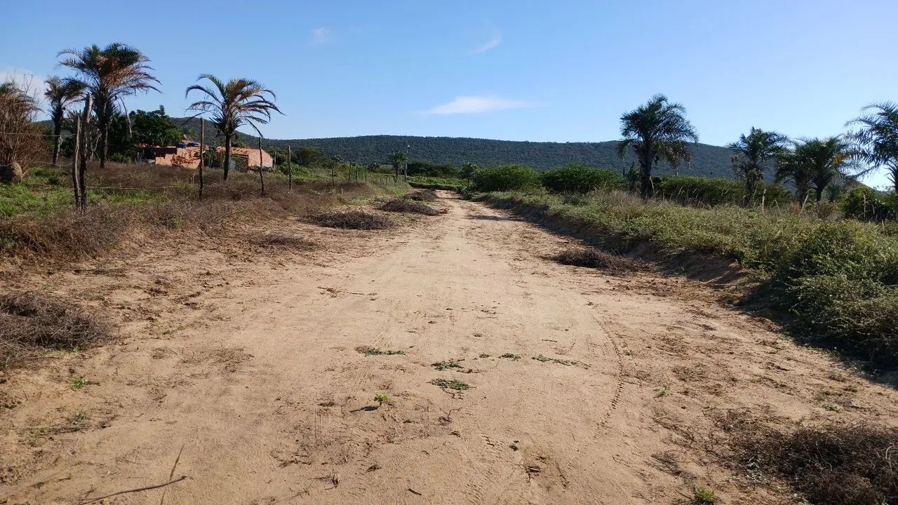 70 tarefas  - Foto 4