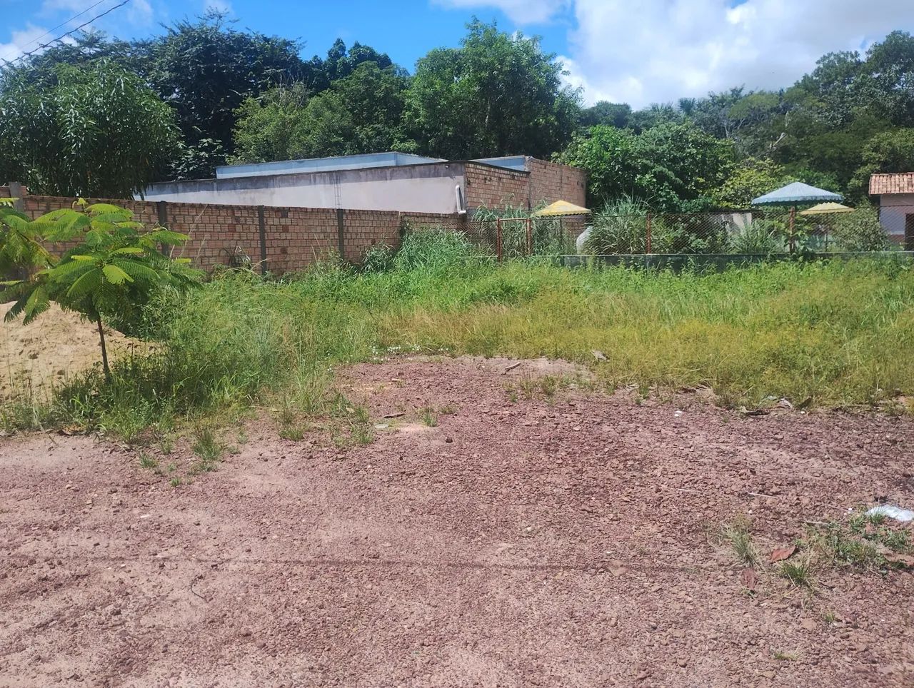 VENDO TERRENO BEM LOCALIZADO NA ENTRADA DO CIDADE SATÉLITE  - Foto 4