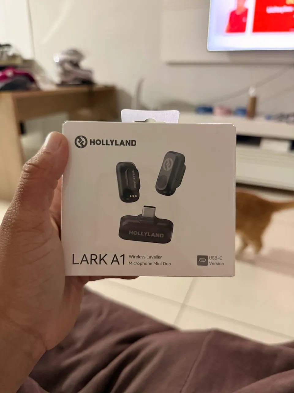 Hollyland Mic 