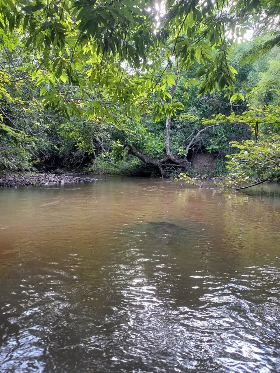 Chácara Terenos - Foto 2