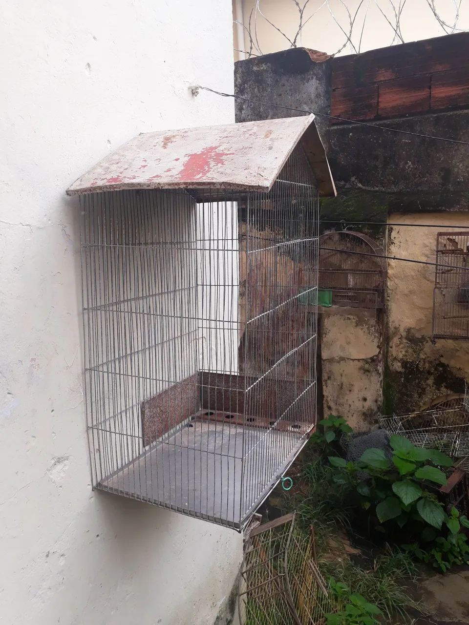 Vendo ótimo viveiro grande. Barato - Foto 3